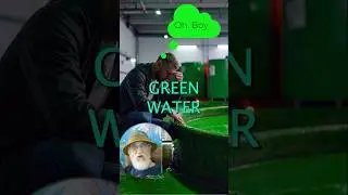 How did I Get GREEN WATER in my Aquarium?