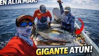 BIG TUNA en CALMAR se activa MANCHA //  