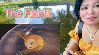 The Fish at the Pond and Me| Akebono Park| Travel Blog| Japan