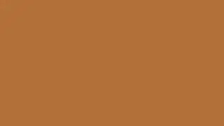 12 Hours Copper Color Screen | Shades of Brown | Still Color Screens