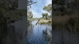 Red lake in Australia #travelvlog