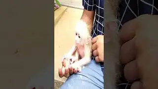 Baby is full