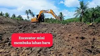 Excavator bekerja membuka lahan baru