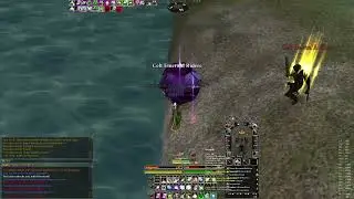 DAoC Ywain - zerk vs champ + warden