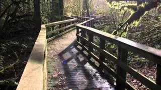 Wildwood Recreation Site