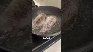 Япония живет в 2050 😯