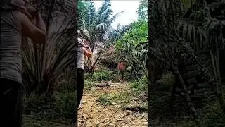 #punny #punnyshort #videoviral #lucu #ngakak #comedy #viral