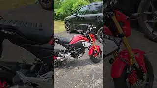 He wants  my Grom #shorts #harleydavidson #grom #moto #gromsquad #motorcycle