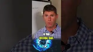 Polyphenols do super things for health, by reducing inflammation. #health  #nutrition  #polyphenols