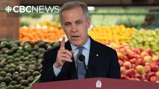 Parliament returns, Carney introduces affordability measures