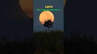 Don't miss the last supermoon of the year.#space #moon #earth #universe #nasa #shorts
