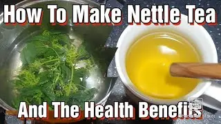 How To Make Nettle Tea - Nettle Tea Health Benefits