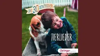 Auf der Mauer, auf der Lauer