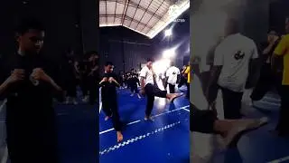 #kungfu #judo #kalarippayattu #karate #kravmaga #martialarts #mma #selfdefense #wingchun #wwe
