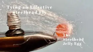 Fly Tying for Steelhead- the Jelly  Egg