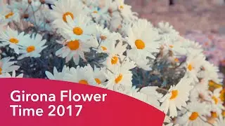 Girona Temps de flors 2017