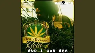 Bud I Can See