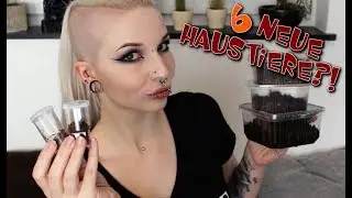 6 neue Haustiere?! | Reptilienb&ouml;rse Haul | ❄ Lilith Whitic ❄