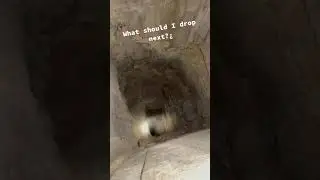 Endless Pit