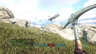 Ark