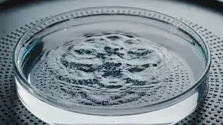 Electrifying Experiments: A Surreal ASMR Odyssey