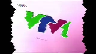 VTV1 Logo X is Weird