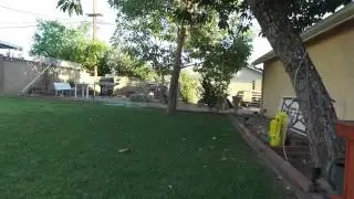 La Mirada CA Neighborhood