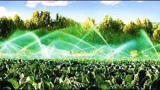 Magnetic water increases crop yields