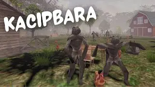 Kacipbara | Gameplay