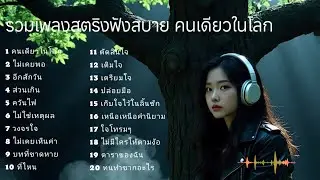 รวมเพลงสตริงฟังสบาย คนเดียวในโลก 💯💯💯