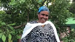 Orphan project Wolisso