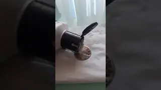 how to clean a dial watch in 5 minutes😊
