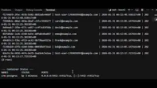 Lesson 3: PostgreSQL Setup Masterclass - Create, Insert & Query Your First User (Docker & SQL!) #crm