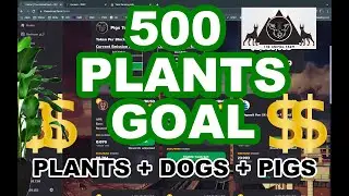 Animal Farm Update + DRIP GARDEN