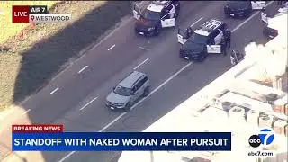 Naked driver in standoff with LAPD after chase ends