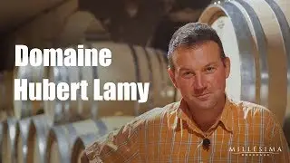 DOMAINE HUBERT LAMY - BOURGOGNE - MILLESIMA