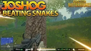 BEATING SNAKES IN PUBG - JOSHOG PUBG HIGHLIGHTS