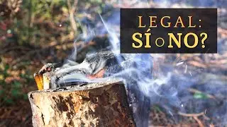 ES LEGAL HACER FUEGO EN EL MONTE o UNA HOGUERA EN EL BOSQUE?