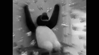 (FREE) 130bpm ~~ Plug type beat ~~ 