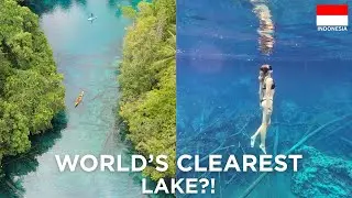 IS THIS THE WORLDS MOST BEAUTIFUL LAKE?! - BANGGAI ISLANDS, INDONESIA🇮🇩