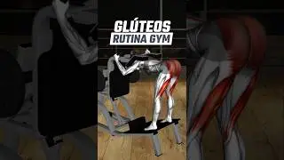 5 M&aacute;quinas de GYM para Gl&uacute;teos perfectos. 🍑