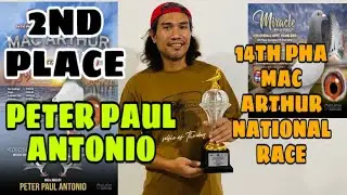 2nd PLACE MAC ARTHUR NATIONAL RACE PETER PAUL ANTONIO |Reggie Cruz Loft & Aviary #pigeon #reggiecruz