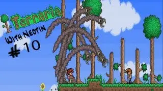 Let's Play Terraria Episode 10! W/ Neotin Ft. Gammahok, OcarinaSchief.