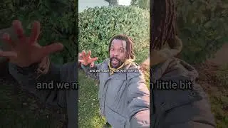 Жить на улице не невозможно. Мы делали это в своё время #сохранимпространство