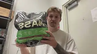 What you need to know about this ON Serious Mass Protein