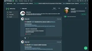 Bitfinex Pulse - Account creation tutorial