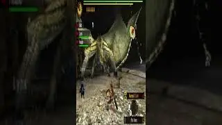 The G Rank Experience