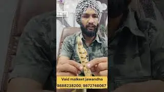 reg mahi