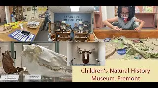 Children's Natural History Museum | Fremont | Tamil Vlog 🦅🪨💎