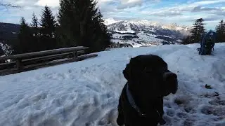 Discovering with Nemo, Switzerland, Voralpsee